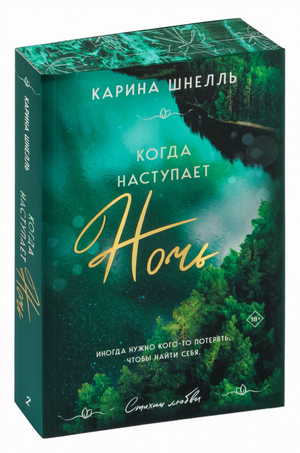 Обложка книги "Когда наступает ночь" Шнелль К, роман российской фантастики и любовной литературы, на белом фоне.