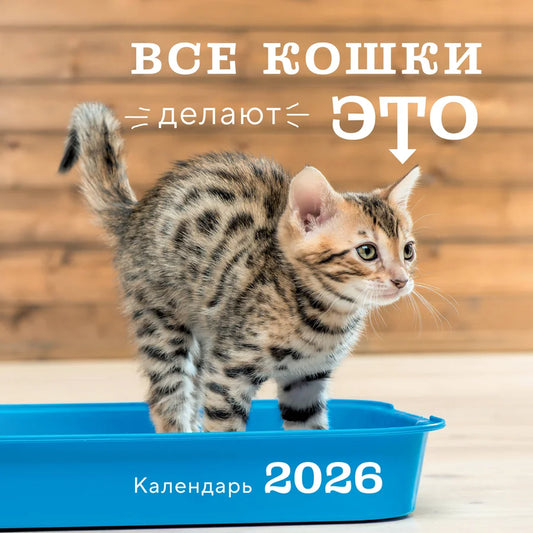 Настенный календарь на 2026 год с изображением кошек, размеры 300х300 мм, от бренда Sovabooks, для офисных и домашних нужд.