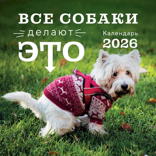 Настенный календарь на 2026 год "Все собаки делают это" от Sovabooks, формат 300х300, изображение собаки и даты
