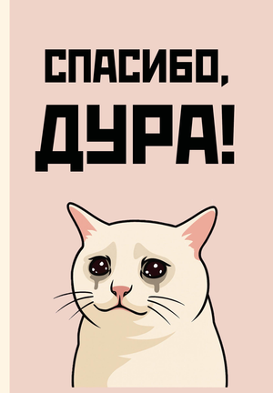 Ежедневник Sovabooks "Спасибо, дура!", недатированный, А5, 72 листа, стильный блокнот для заметок и планирования