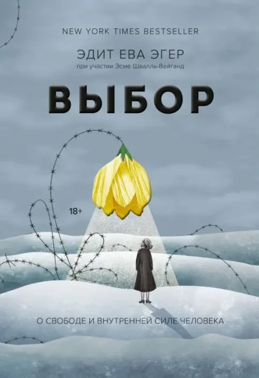 Книга "Выбор. О свободе и внутренней силе человека" от SOVABOOKS, изображение обложки на белом фоне