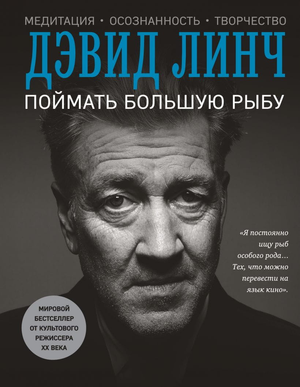 Книга "Поймать большую рыбу" Дэвид Линч, российский нон-фикшн о самопомощи и мотивации, изображение обложки.