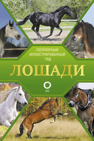Иллюстрированный гид по лошадям from книгу по искусству и ремеслам Sovabooks, изображение обложки с лошадьми и художественным оформлением