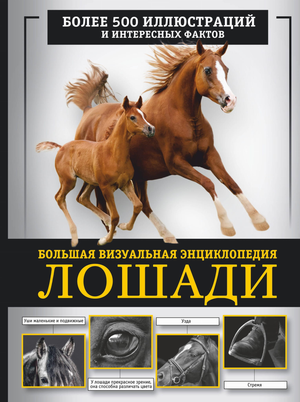 Книга "Лошади. Большая визуальная энциклопедия" Спектор А.А о лошадях, иллюстрированное издание от Sovabooks
