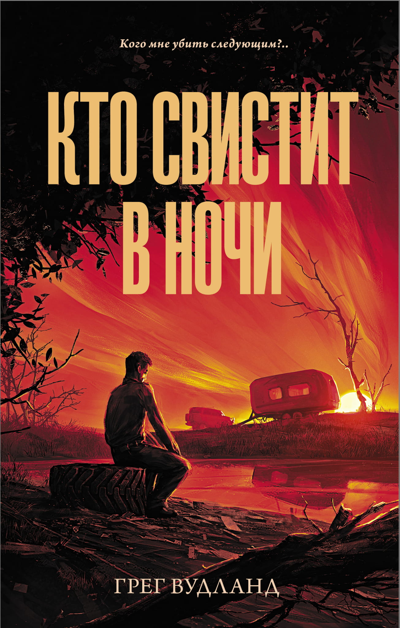 Книга Кто свистит в ночи - Вудланд Г. | SOVABOOKS