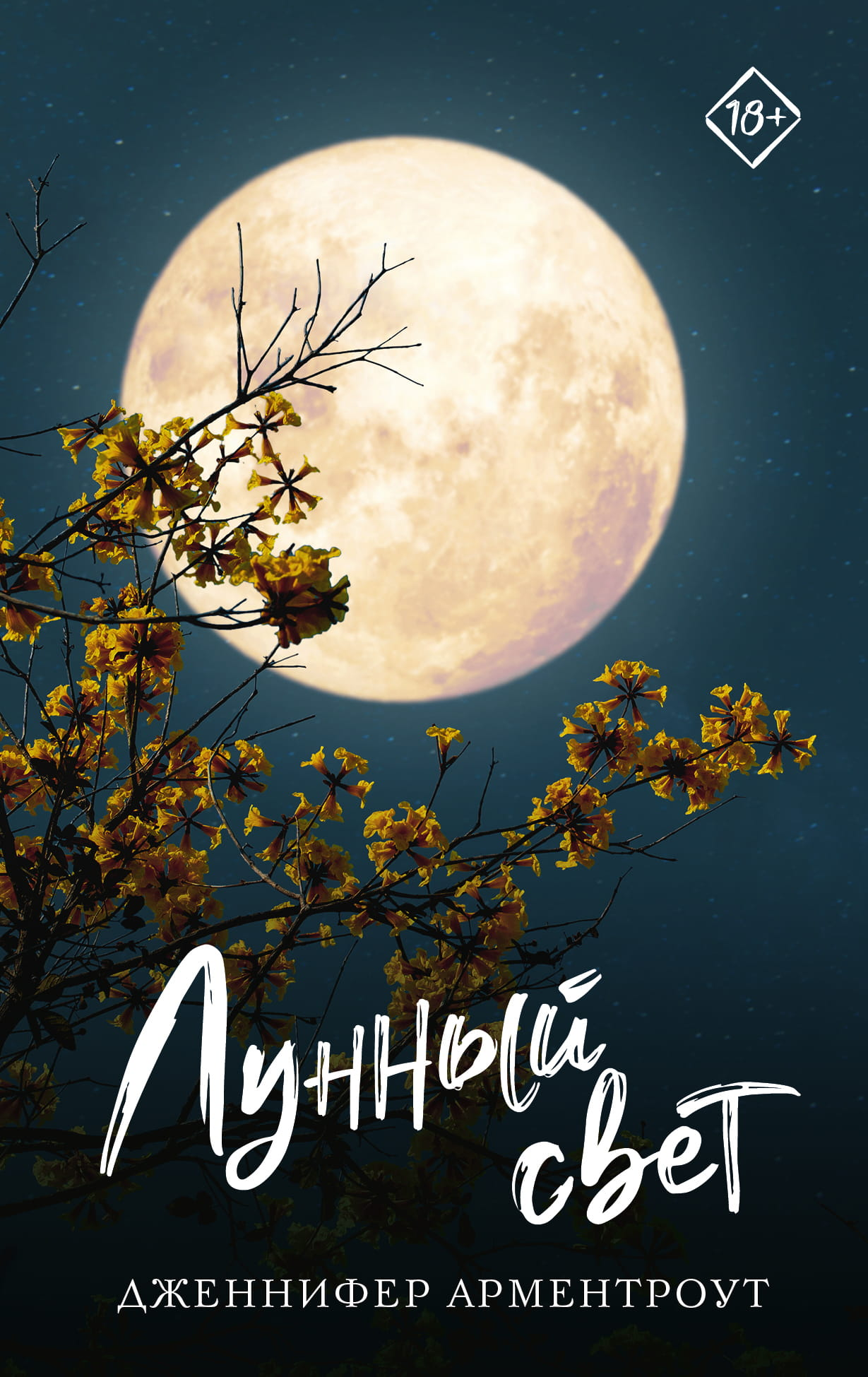 Обложка книги "Лунный свет" от SOVABOOKS, романтическое произведение в жанре российской фантастики и любовной прозы