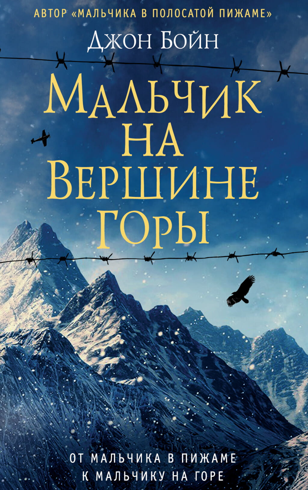 Детский мальчик стоит на вершине горы, изображение из современной русской художественной литературы SOVABOOKS