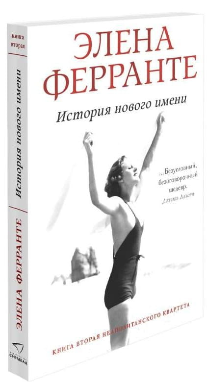 Обложка книги "История нового имени" русской современной художественной литературы, изображение на белом фоне.
