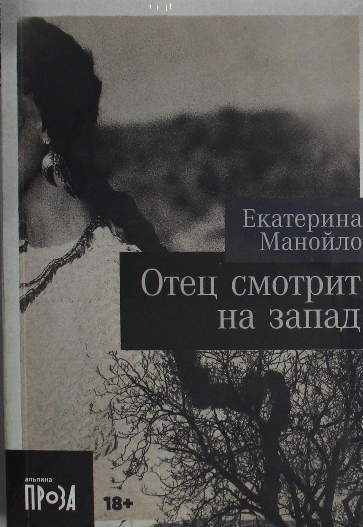 Родитель смотрит на запад, изображение из современной российской художественной литературы SOVABOOKS, иллюстрация для книги.