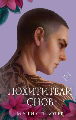 Обложка книги "Похитители снов" Мэгги Стивотер, фантастический роман, издано Sovabooks, изображение на белом фоне