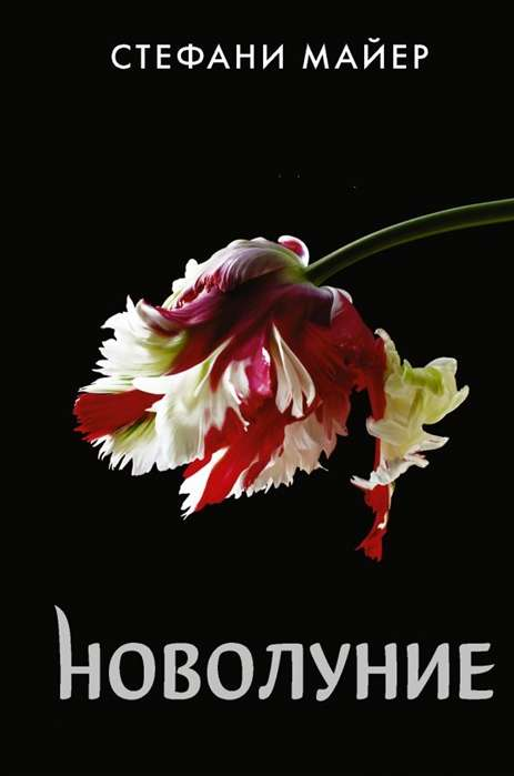 Обложка книги Новолуние от SOVABOOKS, фантастический роман в жанре научной и художественной фантастики на русском языке