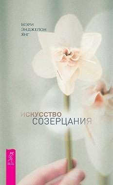 Обложка книги «Искусство созерцания» Янг М.Э., научное эссе о созерцании и духовных практиках, с иллюстрациями и текстом
