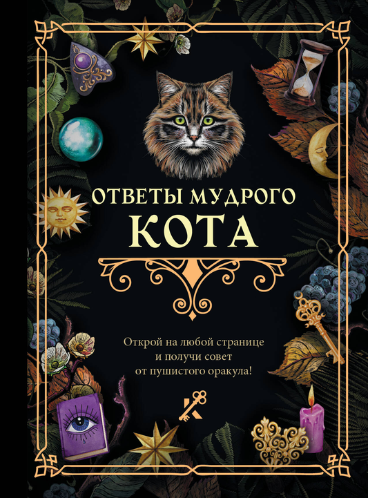Обложка книги "Ответы мудрого кота" — русская нехудожественная эзотерическая литература от SOVABOOKS