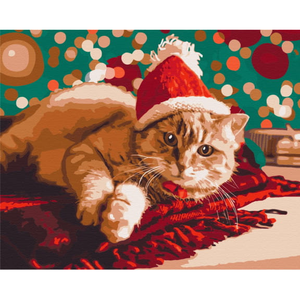 Картина по номерам Санта кот от Sovabooks, набор для творчества, изображение Санта Кота в праздничной тематике