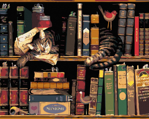 Картина по номерам с изображением котика и книг, набор для творчества Sovabooks, готовая к раскрашиванию и декору интерьера