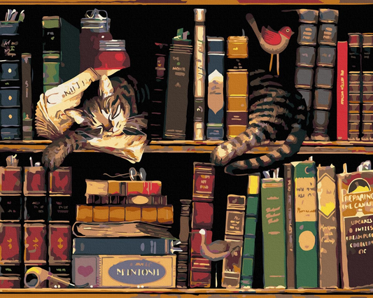 Картина по номерам с изображением котика и книг, набор для творчества Sovabooks, готовая к раскрашиванию и декору интерьера