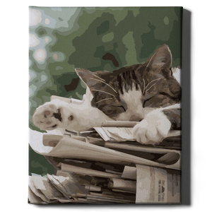 Картина по номерам Кошачьи Мечты от Sovabooks, набор для творчества с изображением милых кошек и яркими красками.