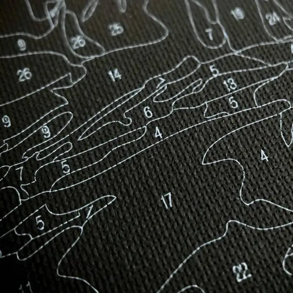 Картина по номерам Розы ночи (Черное полотно)