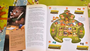 Настольная игра Эверделл от Sovabooks для семейных игр, изображена коробка с игровым полем и фишками.