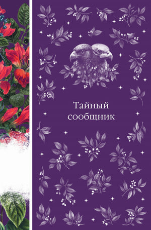 Обложка книги "Тайный сообщник" Брэм Стокер, классика российской художественной литературы, издательство Sovabooks.