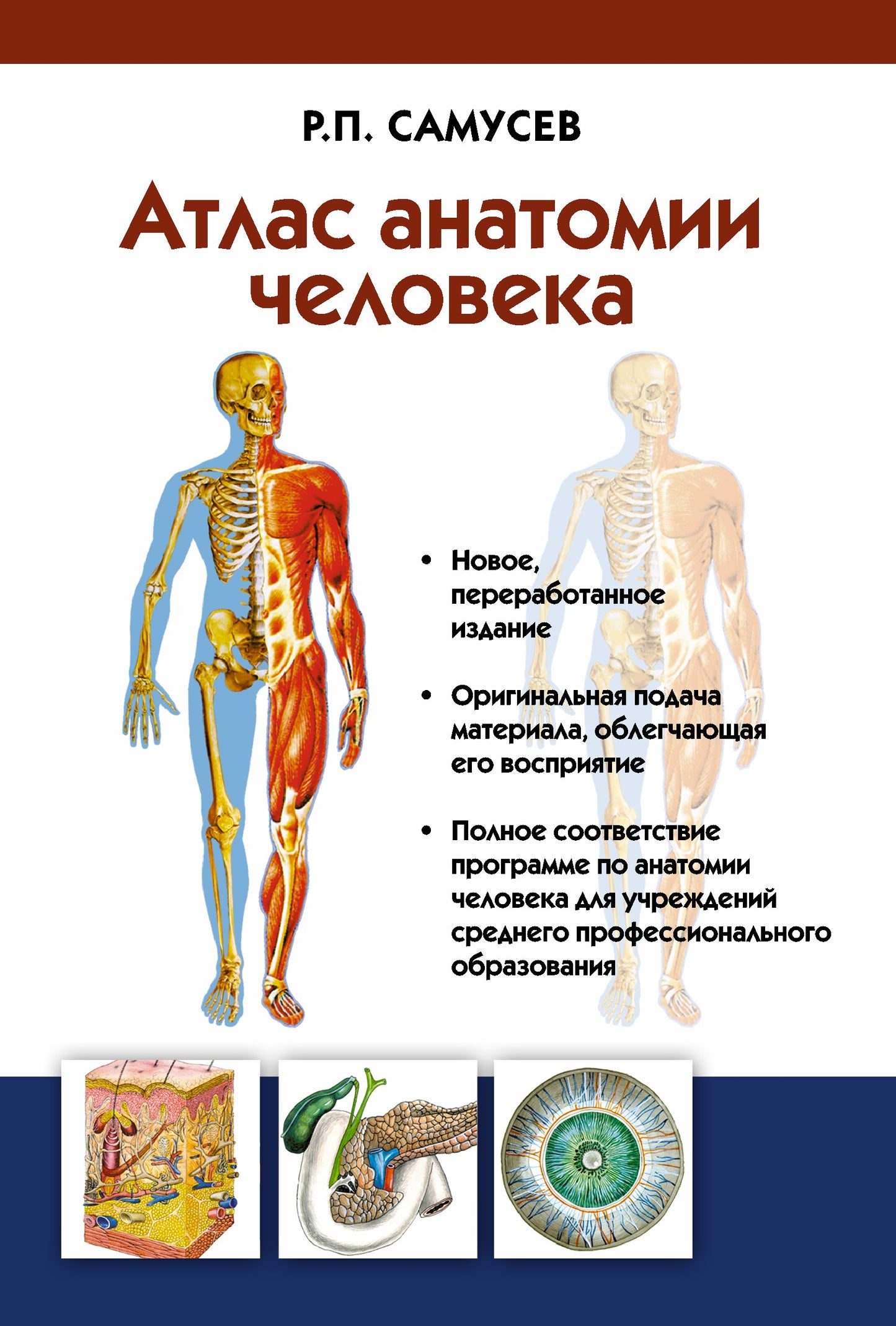 Атлас анатомии человека от SOVABOOKS, учебное пособие для студентов медицинских учреждений, изображение обложки книги