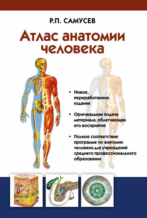 Атлас анатомии человека от Sovabooks, учебное пособие по медицине и здоровью для студентов среднепрофессиональных учреждений
