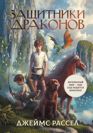 Детская книга Защитники драконов автор Рассел Д, издана Sovabooks, яркая обложка с изображением драконов и фантазийных сцен