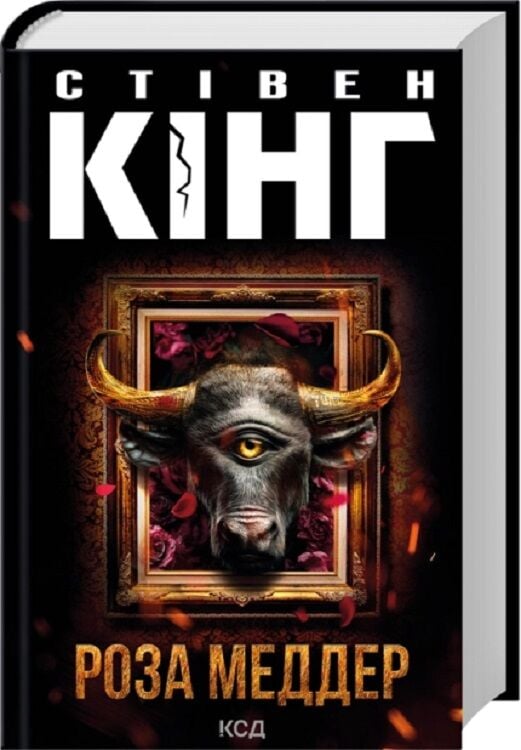 Изображение книги "Роза Меддер" от SOVABOOKS, фантастический триллер и загадка, вид спереди, Обкладинка с ярким дизайном