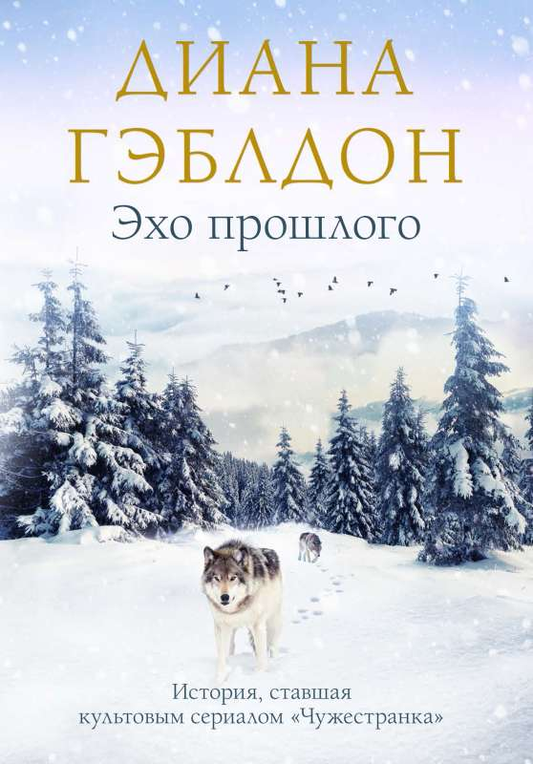 Обложка книги «Эхо прошлого» от SOVABOOKS, современная российская художественная литература, яркий дизайн и название на фоне.