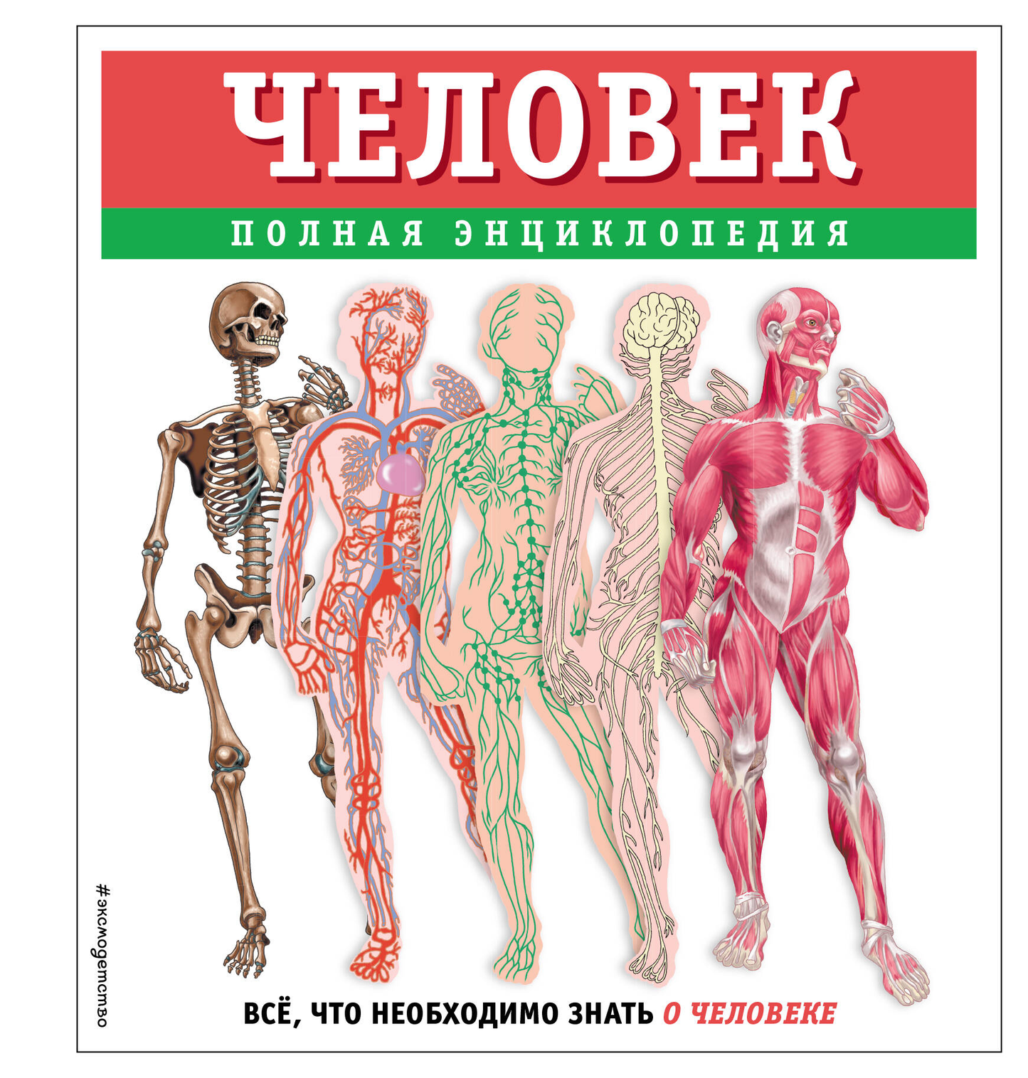 Детская книга "Человек. Полная энциклопедия" от SOVABOOKS, яркая обложка с изображением человека и иллюстрациями