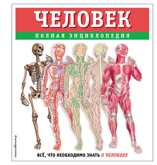Детская книга "Человек. Полная энциклопедия" от SOVABOOKS, яркая обложка с изображением человека и иллюстрациями