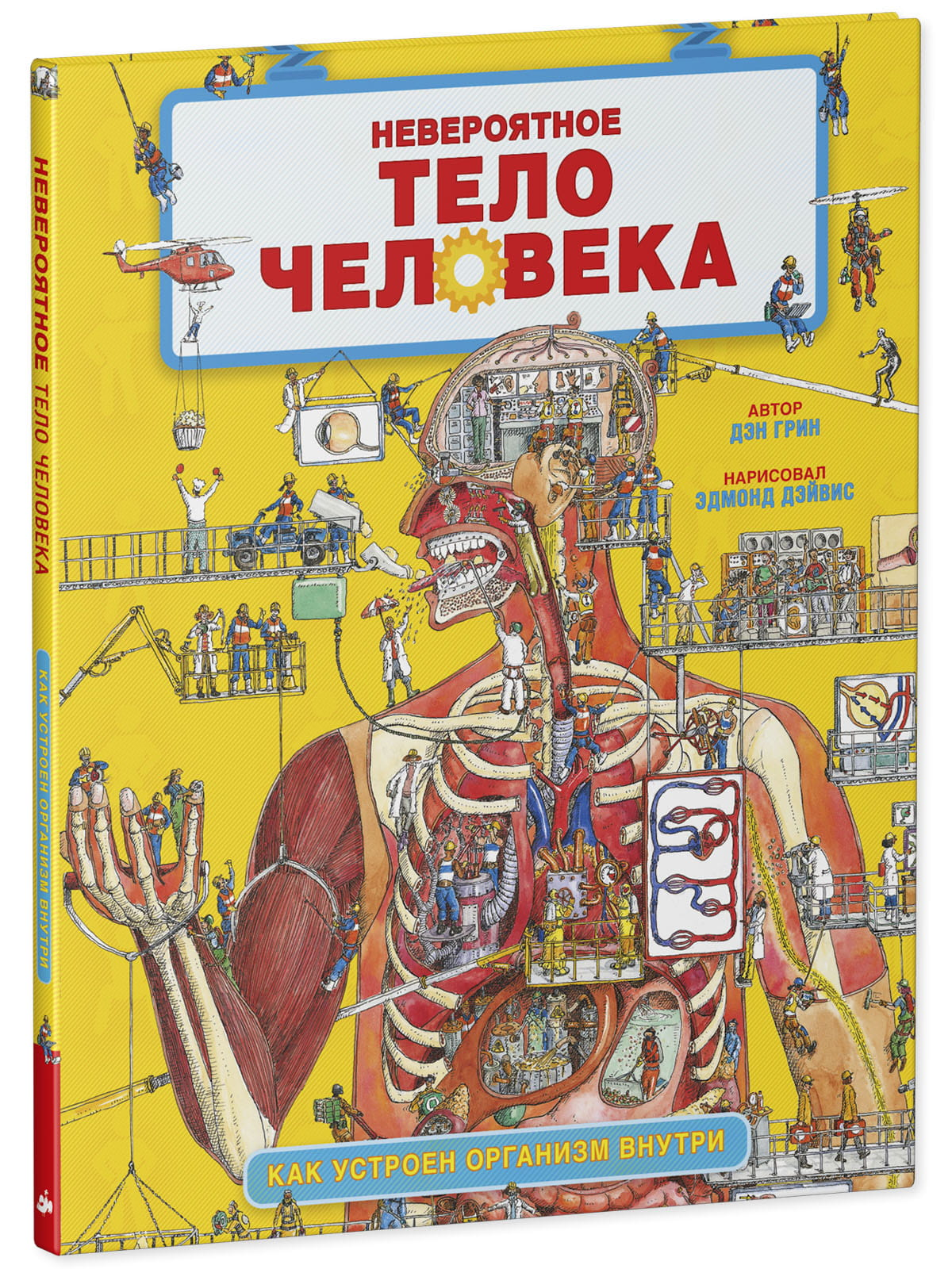 Детская книга «Невероятное тело человека» от SOVABOOKS с иллюстрациями внутреннего устройства организма человека.