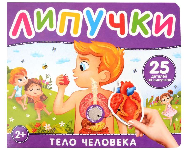 Книга для детей "Тело человека" с липучками, иллюстрированное изображение страницы с элементами для изучения анатомии.