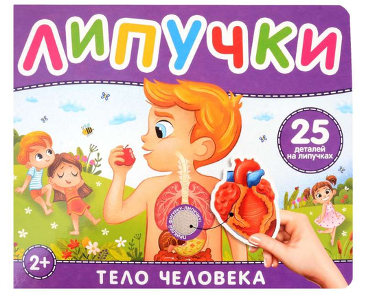 Книга для детей "Тело человека" с липучками, иллюстрированное изображение страницы с элементами для изучения анатомии.