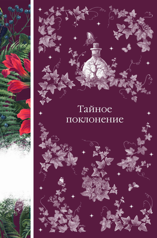 Обложка книги «Тайное поклонение» из классической русской художественной литературы, издание SOVABOOKS