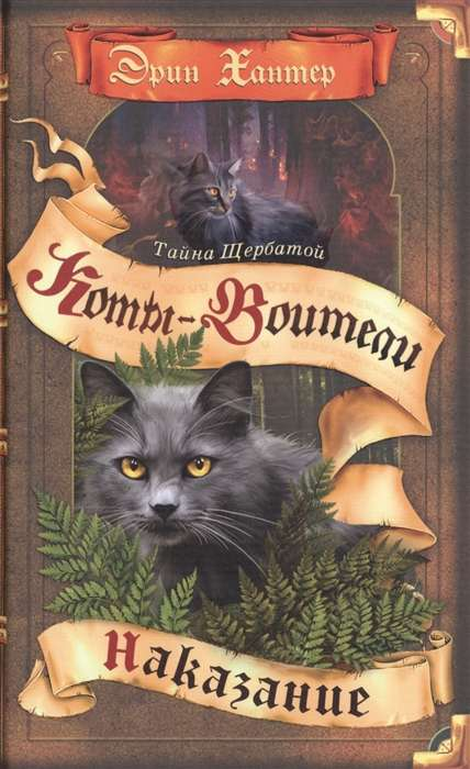 Детская книга "Тайна Щербатой. Наказание" от SOVABOOKS, обложка с ярким иллюстративным дизайном и названием.