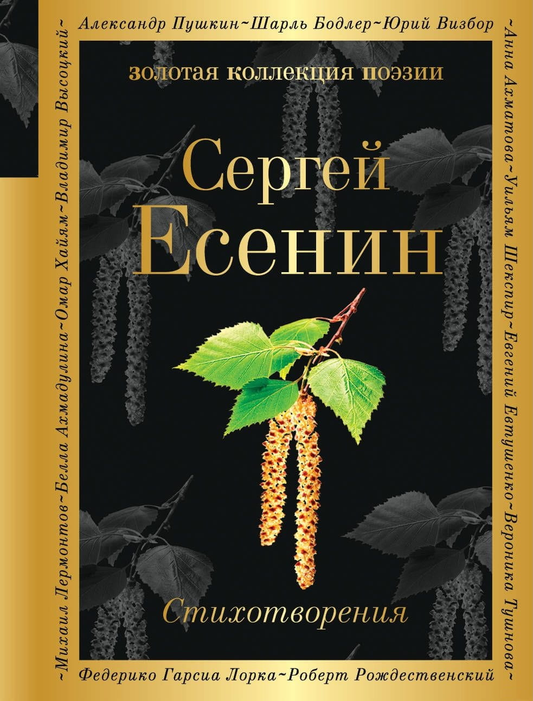 Книга стихотворений Sovabooks с классическими русскими поэтическими произведениями на белом фоне