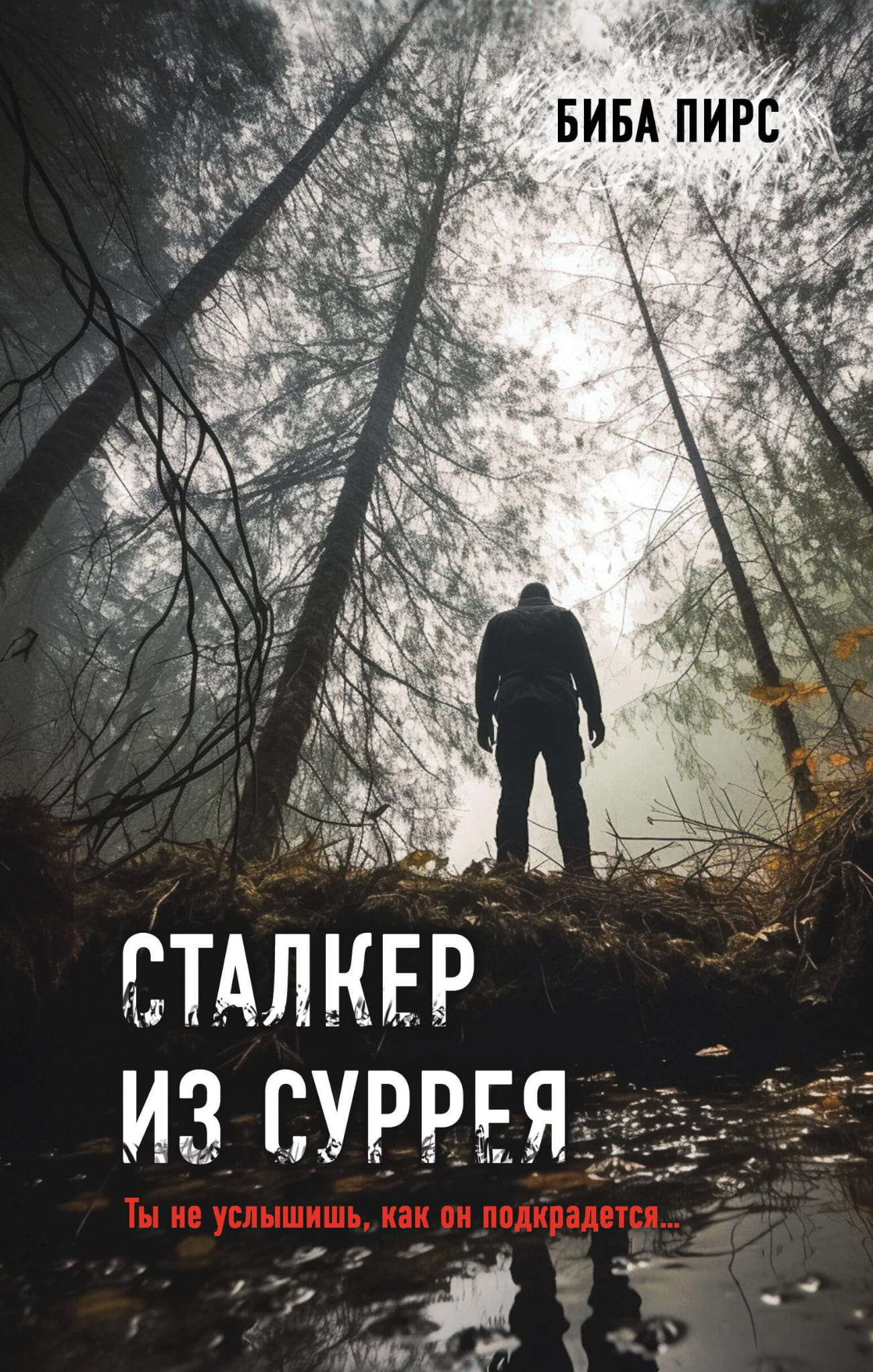Обложка книги "Сталкер из Суррея" от Sovabooks, российский роман в жанре мистики и триллера.