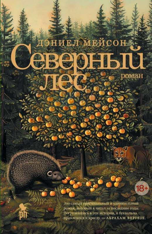 Современный российский роман "Северный лес" от Sovabooks, обложка книги, изображение для интернет-магазина