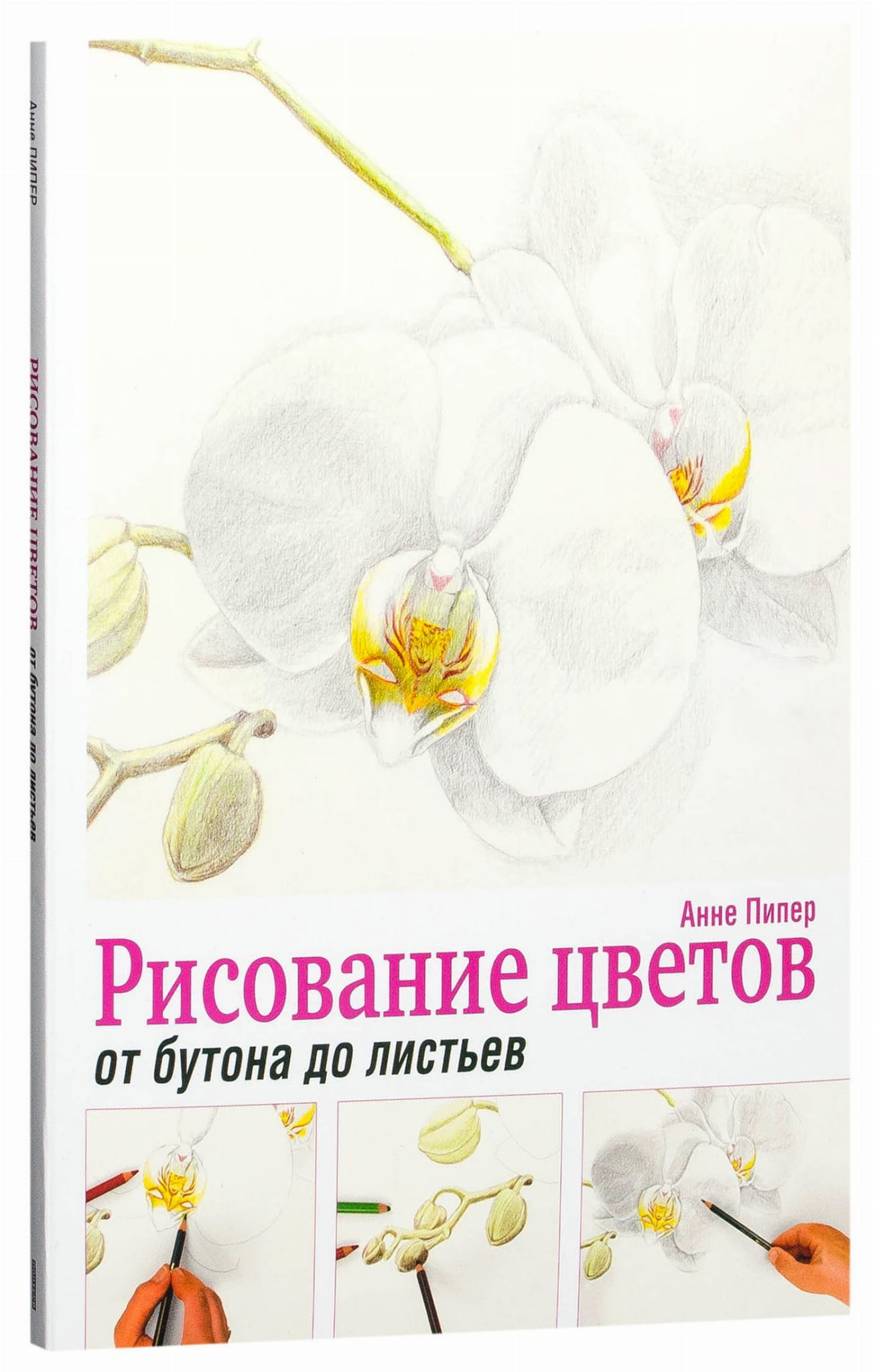 Книга Sovabooks о рисовании цветов, от бутона до листьев, для занятий искусством и рукоделием, изображение обложки.