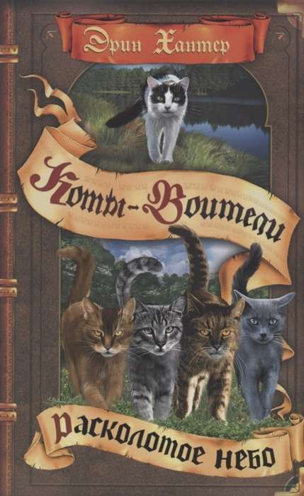 Детская книга "Расколотое небо" от Sovabooks с яркой обложкой и иллюстрациями на русском языке