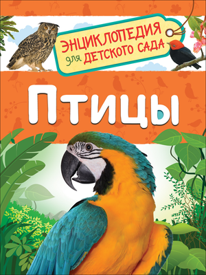 Книга "Птицы" Гальцевой С.Н., детская энциклопедия для детского сада, изображение обложки на белом фоне.