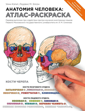 Анатомия человека: атлас-раскраска, научная книга по медицине и здоровью, изображение обложки, российское издание Sovabooks