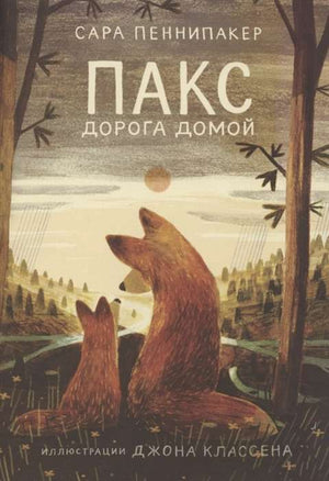 Детская книга "Дорога домой" автор Сара Пенніпакер, иллюстрации и обложка, издание Sovabooks