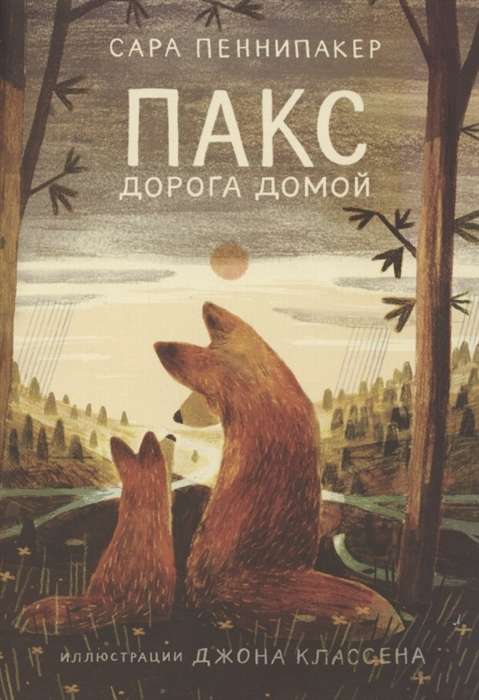 Детская книга "Дорога домой" от Sovabooks, русское издание, с яркой обложкой и иллюстрациями для детей