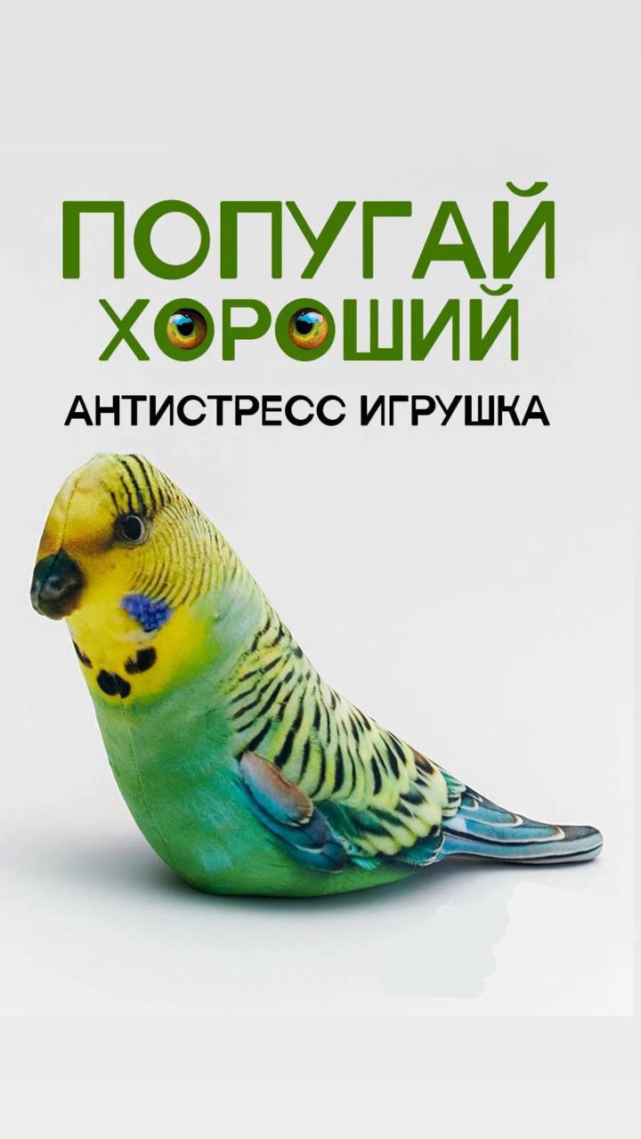 Игрушка-антистресс в виде попугая, мягкая и яркая, подойдет для снятия стресса, на фото Sovabooks, игровой аксессуар