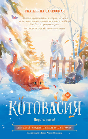 Детская книга "Котовасия. Дорога домой" Залесской Е.В. от издательства Sovabooks, иллюстрация на обложке
