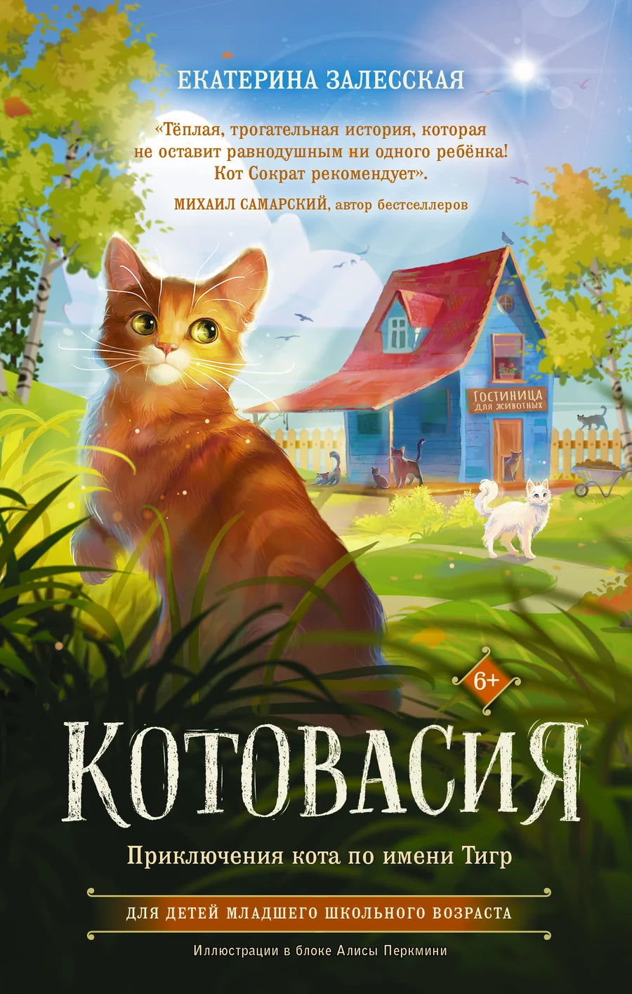Обложка детской книги "Котовасия. Приключения кота Тигра" от Sovabooks, яркий иллюстрационный дизайн