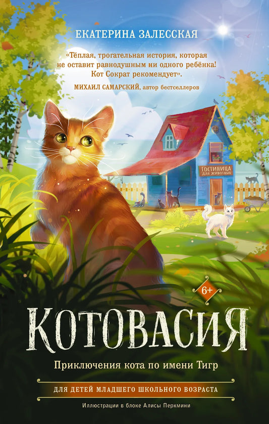 Обложка детской книги "Котовасия. Приключения кота Тигра" от Sovabooks, яркий иллюстрационный дизайн