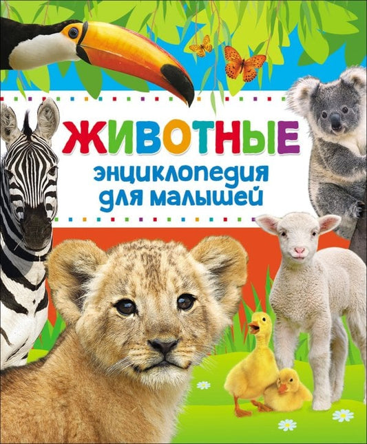 Детская книга «Животные. Энциклопедия для малышей» — иллюстрированная энциклопедия Sovabooks